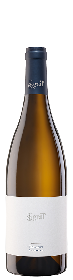 2023 Dalsheim Chardonnay trocken