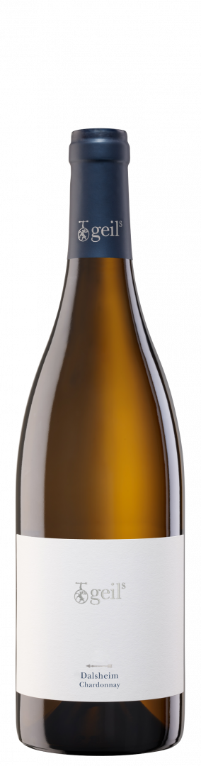 2022 Dalsheim Chardonnay trocken
