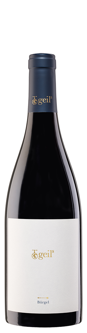 2022 Bürgel Spätburgunder trocken