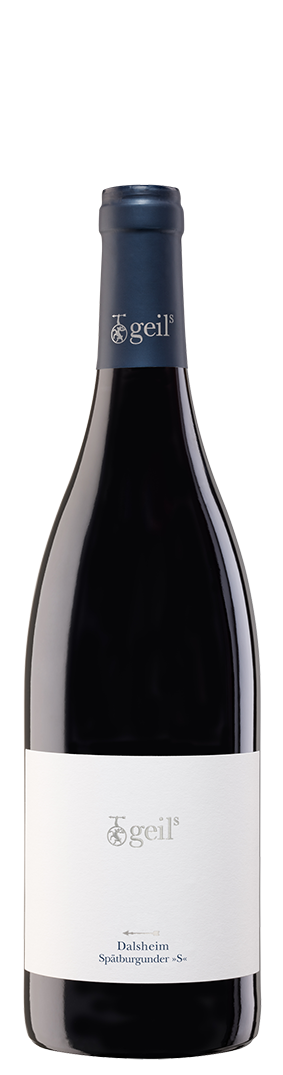 2020 Dalsheim Spätburgunder »S« trocken